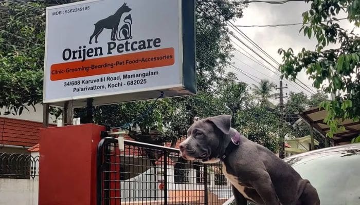 Veterinary Clinics in Ibadan
