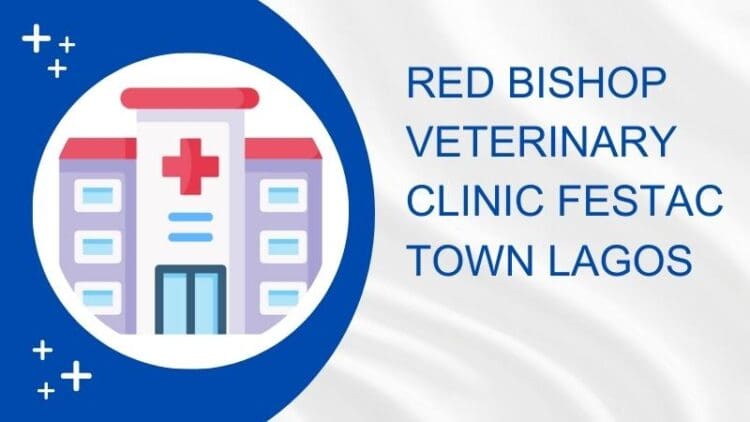 Red Bishop Veterinary Clinic Festac Town Lagos