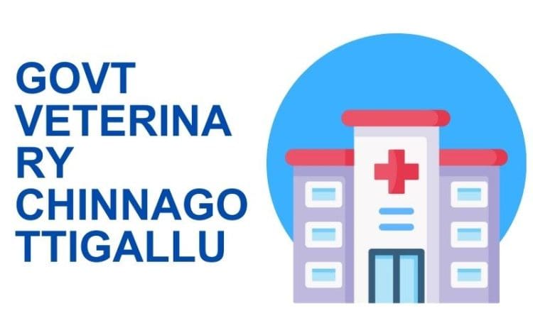 Govt Veterinary Chinnagottigallu