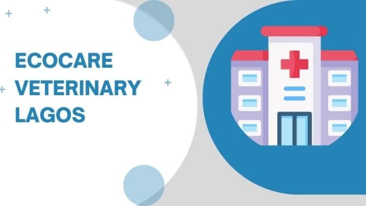 Ecocare Veterinary Lagos