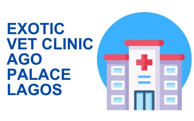 Exotic Vet Clinic Ago Palace Lagos