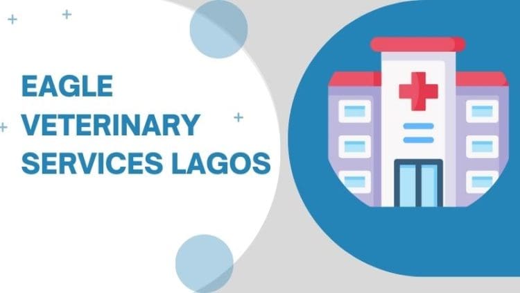 Eagle Veterinary Services Lagos