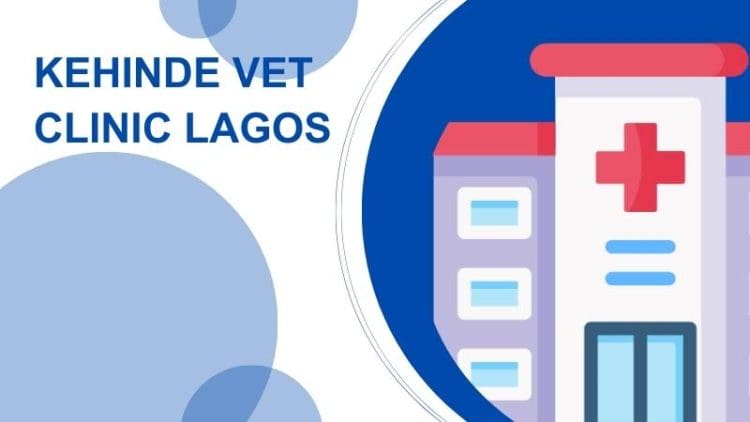Kehinde Vet Clinic Lagos